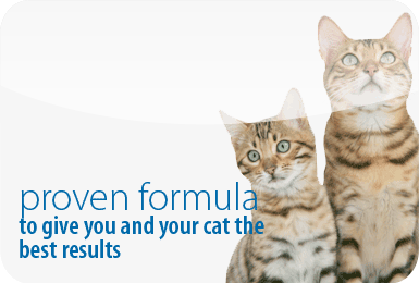 Proven formula to give you and your cat the best results
