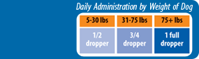 HyaFlex™ administration chart